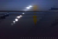 Full Moon Horse Ride at Rainbow Beach