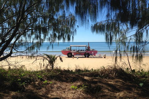 1770 Coastline Tour By LARC Amphibious Vehicle Including Picnic Lunch - Attractions 0