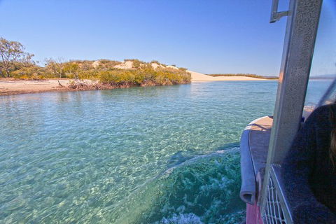 1770 Coastline Tour By LARC Amphibious Vehicle Including Picnic Lunch - Attractions 12