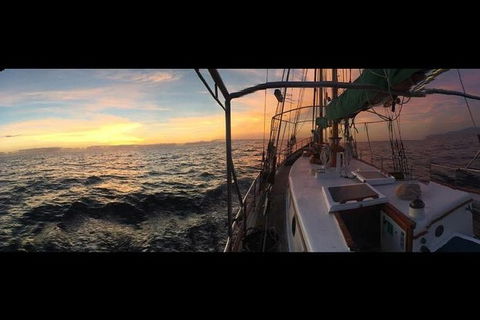 Whitsundays Sunset Sailing Cruise - Attractions 3