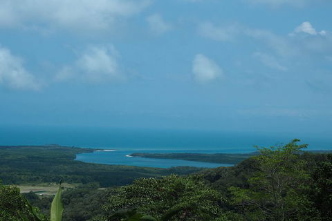 Cape Tribulation, Daintree Rainforest And Wildlife Tour - Attractions 7