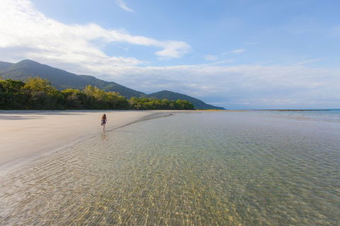 Cape Tribulation, Daintree Rainforest And Wildlife Tour - Attractions 6
