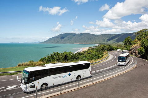 Cape Tribulation, Daintree Rainforest And Wildlife Tour - Attractions 3