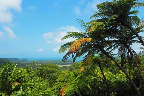 Cape Tribulation, Daintree Rainforest And Wildlife Tour - Attractions 5