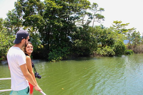 Cape Tribulation, Daintree Rainforest And Wildlife Tour - Attractions 8