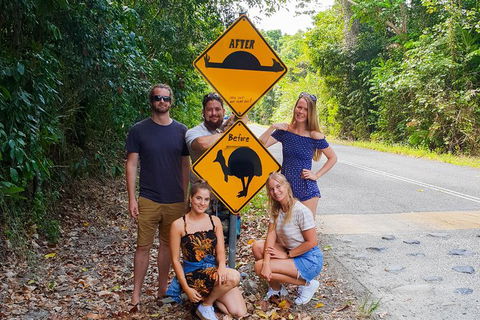 Cape Tribulation, Daintree Rainforest And Wildlife Tour - Attractions 10