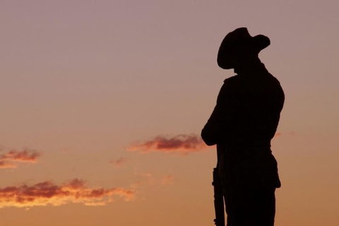 Townsville And The Australian Army: Walking History Tour With Optional City Sightseeing - See Attractions 0