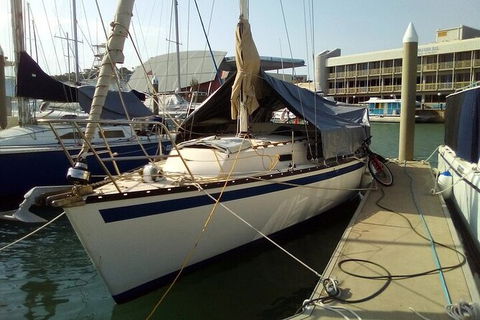 Townsville Early Morning Sailing Cruise Boat Tour - Attractions 5