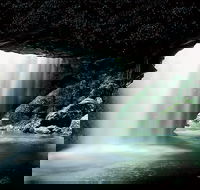 Natural Bridge Glow Worm Night Tour from Gold Coast - Attractions