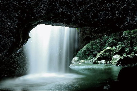 Natural Bridge Glow Worm Night Tour From Gold Coast - Attractions 0