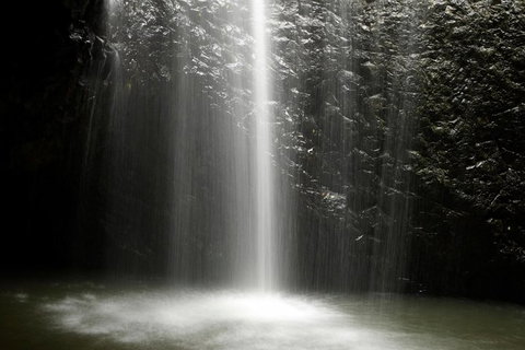 Natural Bridge Glow Worm Night Tour From Gold Coast - Attractions 1