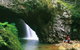 Natural Bridge Glow Worm Night Tour From Gold Coast - thumb 7