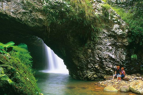 Natural Bridge Glow Worm Night Tour From Gold Coast - Attractions 7
