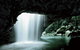 Natural Bridge Glow Worm Night Tour From Gold Coast - thumb 2