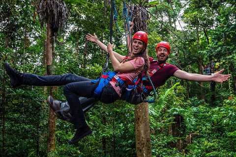 Daintree Atttractions Pass: The Best Of The Daintree In A Day - See Attractions 1