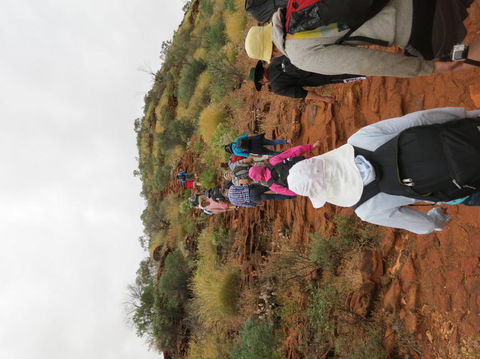 Kings Canyon Day Trip From Ayers Rock - Attractions 14