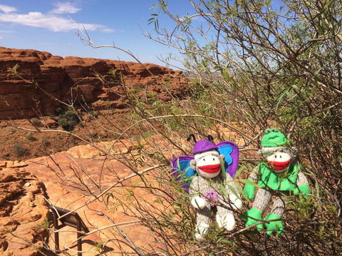 Kings Canyon Day Trip From Ayers Rock - Attractions 23