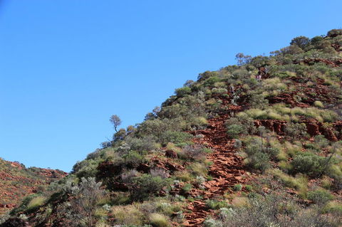 Kings Canyon Day Trip From Ayers Rock - Attractions 21