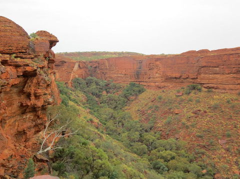Kings Canyon Day Trip From Ayers Rock - Attractions 13