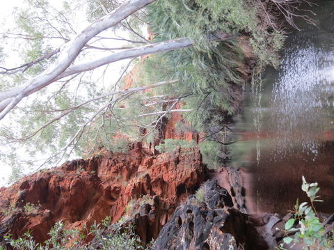 Kings Canyon Day Trip From Ayers Rock - Attractions 11