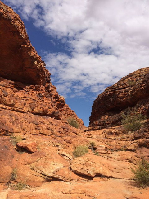 Kings Canyon Day Trip From Ayers Rock - Attractions 25