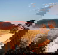 Uluru Ayers Rock Sunset with Outback Barbecue Dinner and Star Tour - Attractions