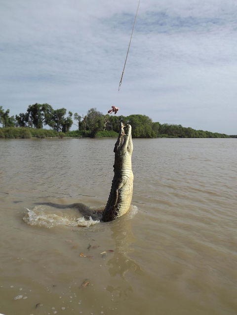 Darwin Jumping Crocodiles Cruise On Adelaide River - Attractions 2