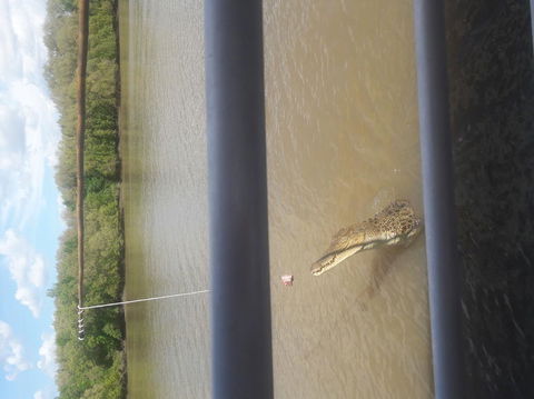 Darwin Jumping Crocodiles Cruise On Adelaide River - Attractions 3