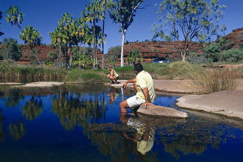 Palm Valley 4WD Tour - Attractions 0