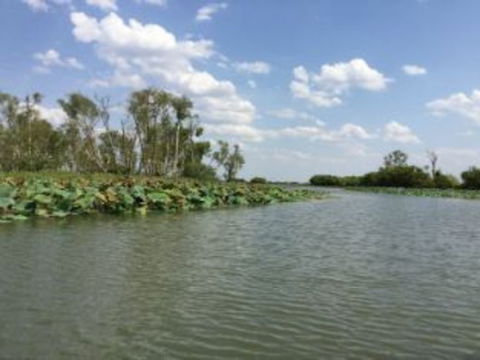 1 Day Corroboree Billabong Wetland Experience Including 2.5 Hour Cruise + Lunch - Attractions 4