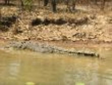 1 Day Corroboree Billabong Wetland Experience Including 2.5 Hour Cruise + Lunch - Attractions 6