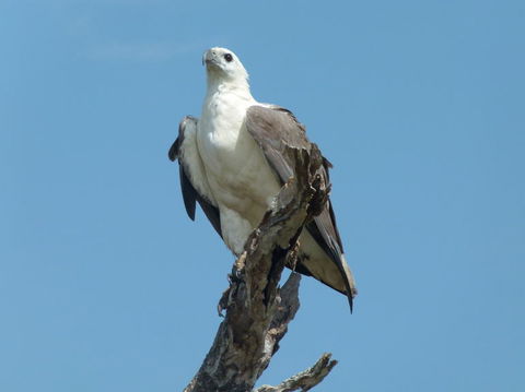 1 Day Corroboree Billabong Wetland Experience Including 2.5 Hour Cruise + Lunch - Attractions 2
