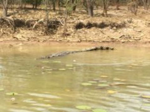 1 Day Corroboree Billabong Wetland Experience Including 2.5 Hour Cruise + Lunch - Attractions 5