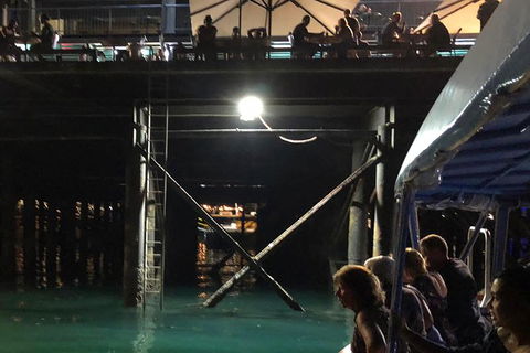 Darwin Sunset Cruise, Including Fish \'n\' Chips - Attractions 8