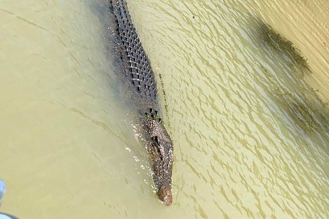 Kakadu National Park Scenic Flight & Cruise - Attractions 11
