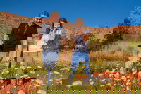 Book Alice Springs Accommodation Vacations Attractions Attractions