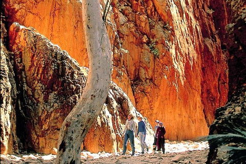 West MacDonnell Ranges Day Trip From Alice Springs - Attractions 7