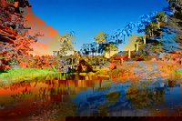 Palm Valley 4WD Day Tour