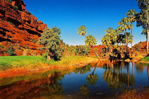 Palm Valley 4WD Day Tour - Attractions 0