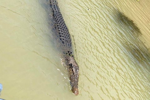 Kakadu & Katherine Gorge Full Day Air Tour, Helicopter & Cruise - See Attractions 6