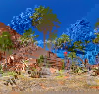 Palm Valley 4WD Tour from Alice Springs - Attractions
