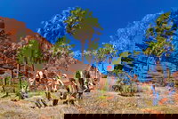 Palm Valley 4WD Tour from Alice Springs