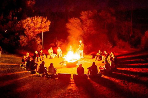 3-Day Red Centre Camping Safari From Alice Springs Or Ayers Rock Including Kings Canyon - Attractions 1