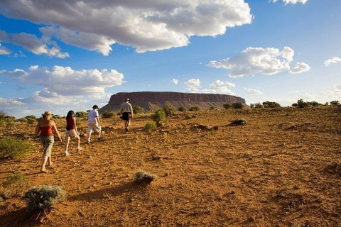 Mount Conner 4WD Small Group Tour From Ayers Rock Including Dinner - Attractions 7