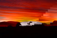 3-Day Alice Springs to Ayers Rock Camping Tour Including Kata Tjuta and Kings Canyon