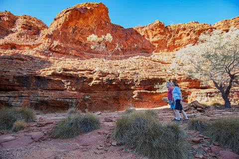 Coach Transfer From Ayers Rock To Kings Canyon - Attractions 7