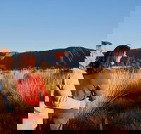 Uluru Sunrise and Kata Tjuta Half Day Trip - Attractions