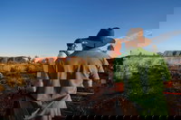 3-Day Alice Springs to Uluru Ayers Rock via Kings Canyon Tour