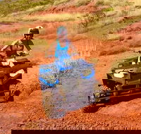Aussie Outback Air and Land Tour Including Quad Bike Ride - Attractions