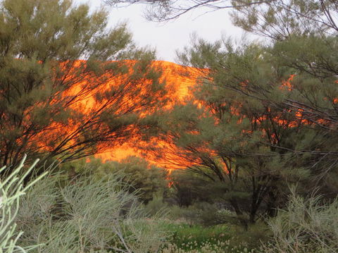 3-Day Ayers Rock, Olgas And Kings Canyon Camping Safari - Attractions 6